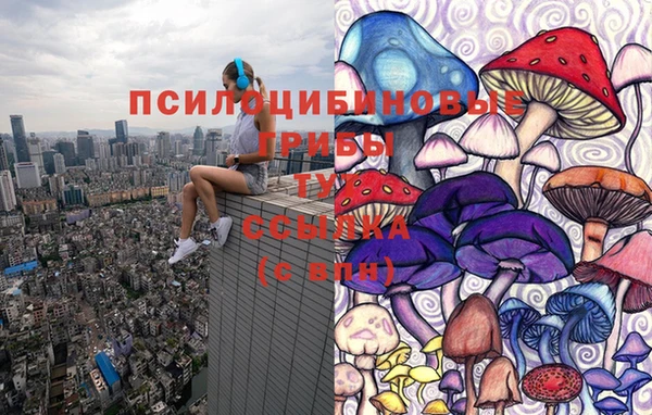 скорость Арсеньев