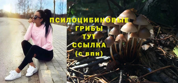 скорость Арсеньев