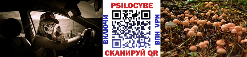 Галлюциногенные грибы Cubensis как найти Озёры